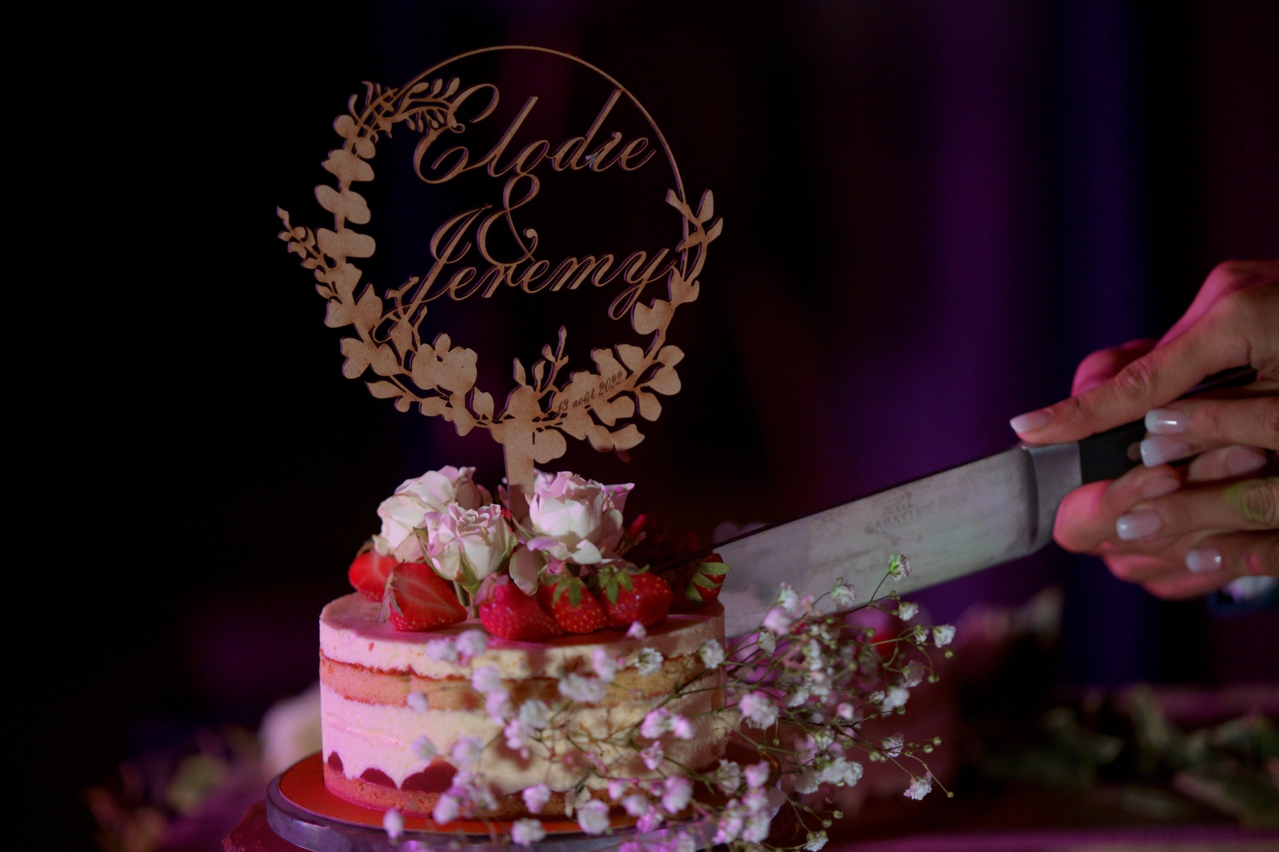 Elodie et Jeremy-1458